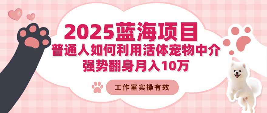 (11.6)2025蓝海项目：普通人如何利用活体宠物中介，强势翻身月入10万