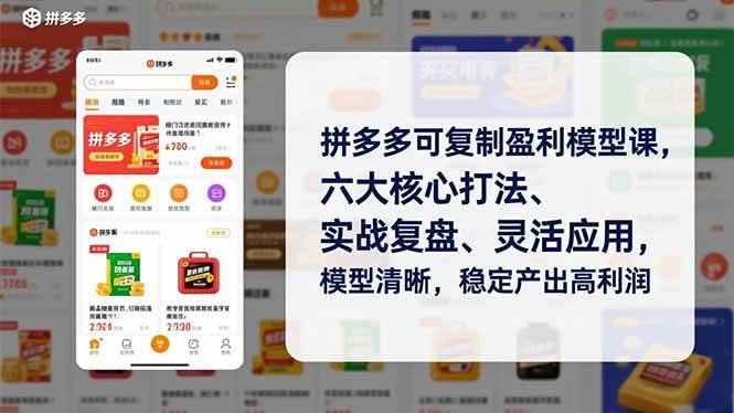 (12.28)拼多多可复制盈利模型课，六大核心打法、实战复盘、灵活应用，模型清晰，稳定产出高利润